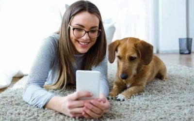 How To Film Client Testimonials For Your Veterinary Hospital