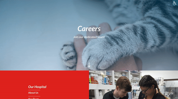 Careers Page