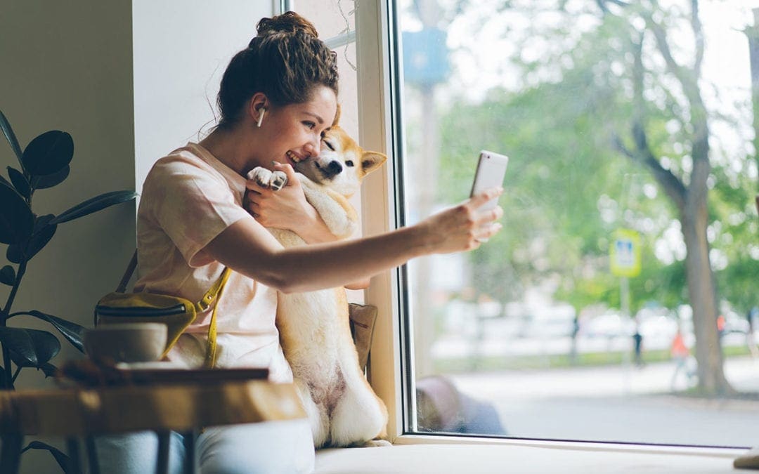 Getting Ready For Telemedicine In Your Veterinary Hospital