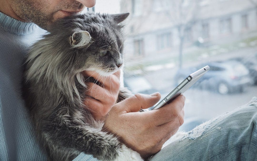 Everything Veterinary Hospitals Need to Know About Telemedicine