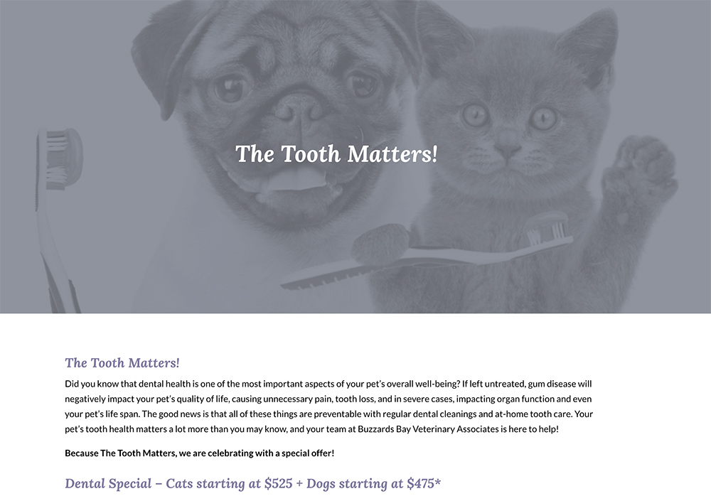 Dental Health Month Vet Landing Page