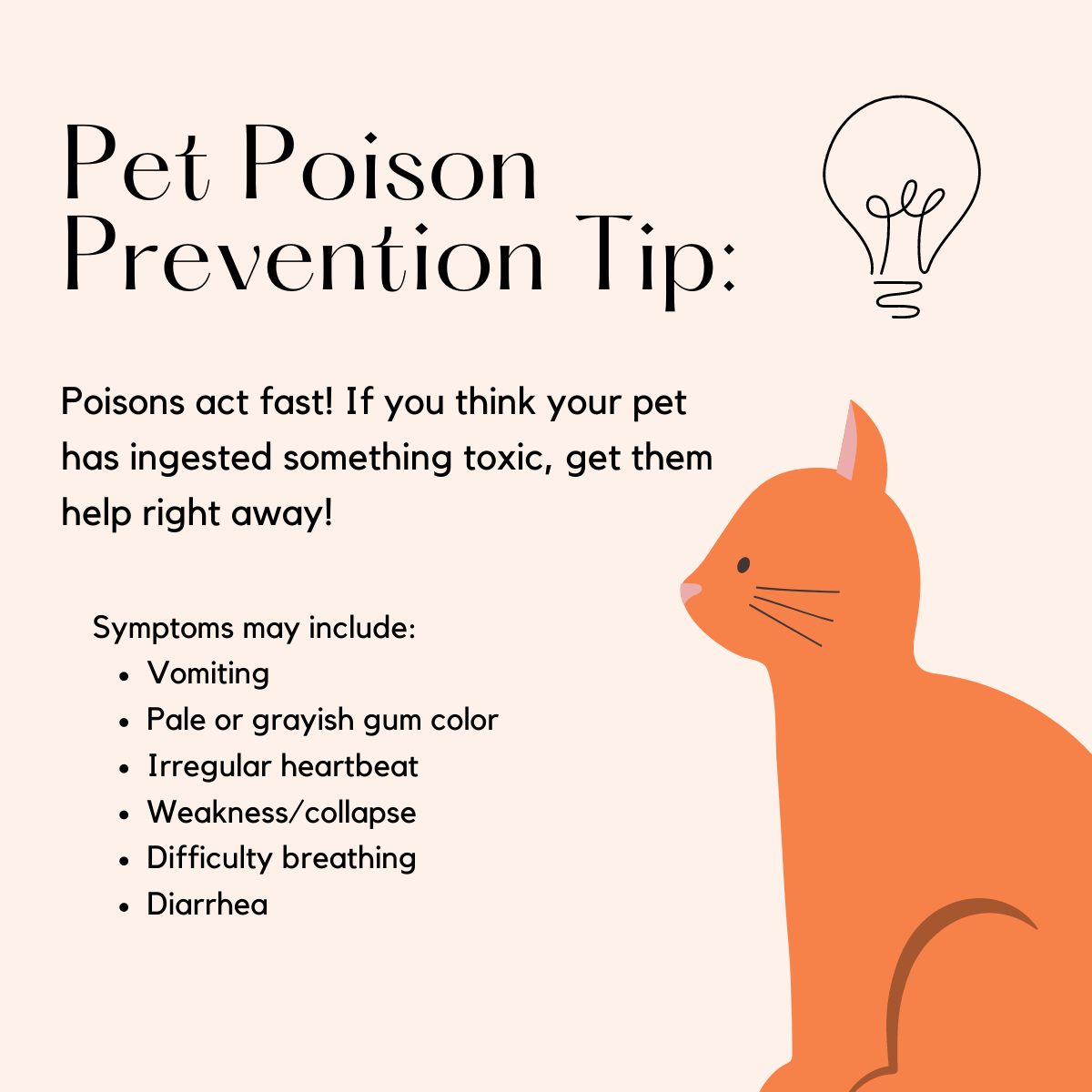 Pet Poison 11 12