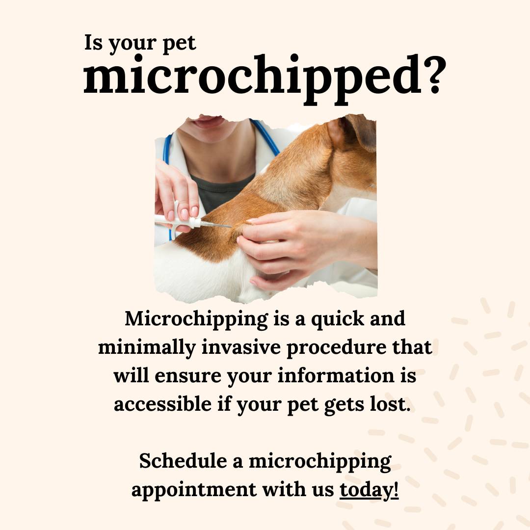 Pet Microchipped