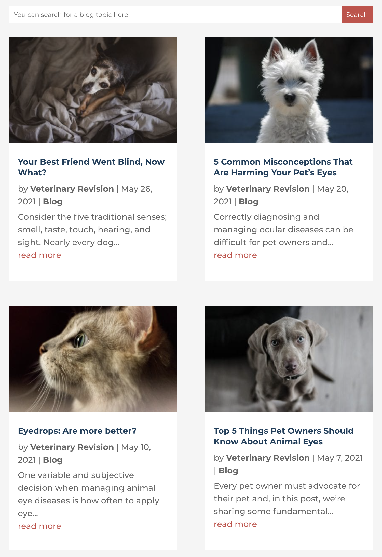 Veterinary Website Blog