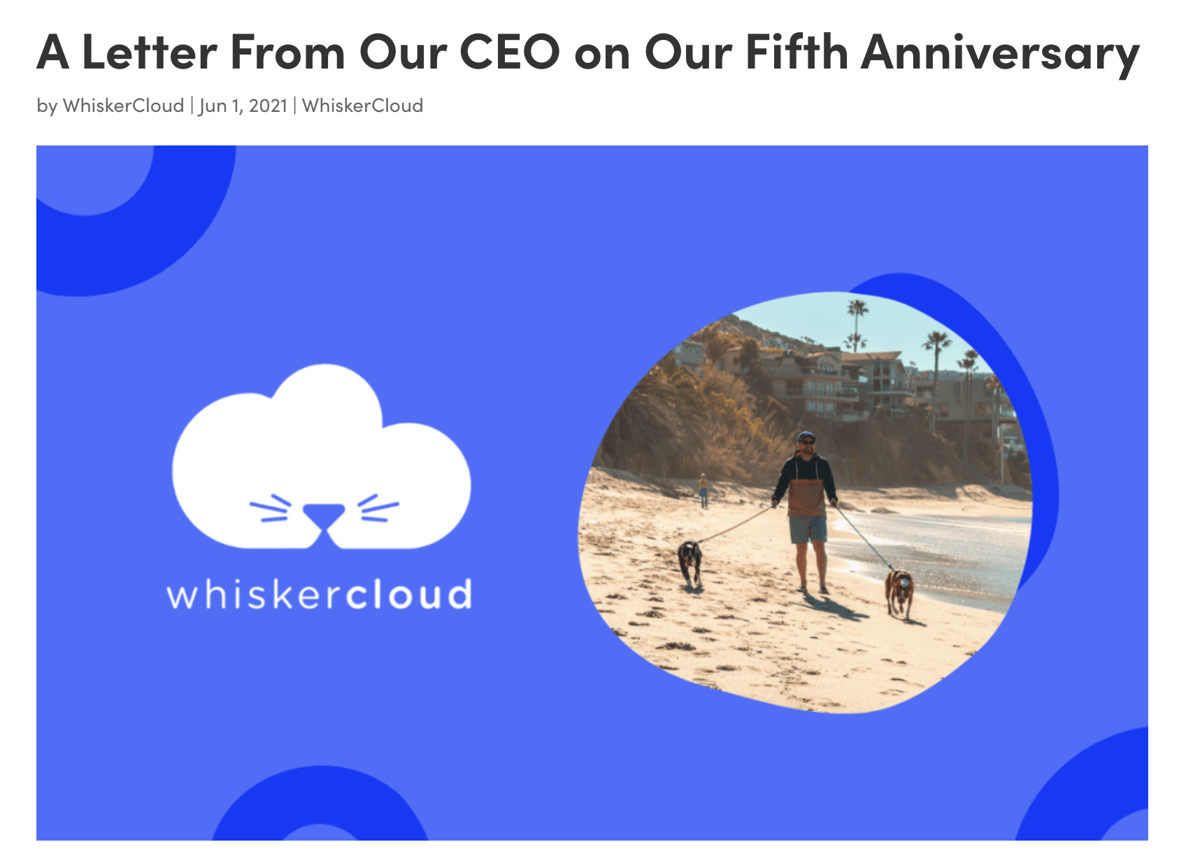 WhiskerCloud Anniversary Blog