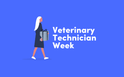 How to Celebrate Employees for National Veterinary Technician Week