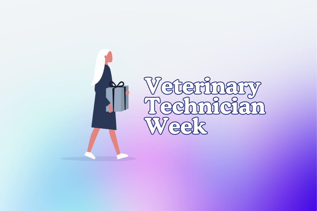 How To Celebrate Employees For Veterinary Technician Week