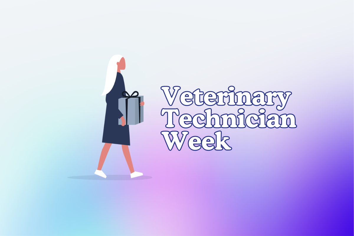 National Vet Tech Week 2024 Carla Catherine