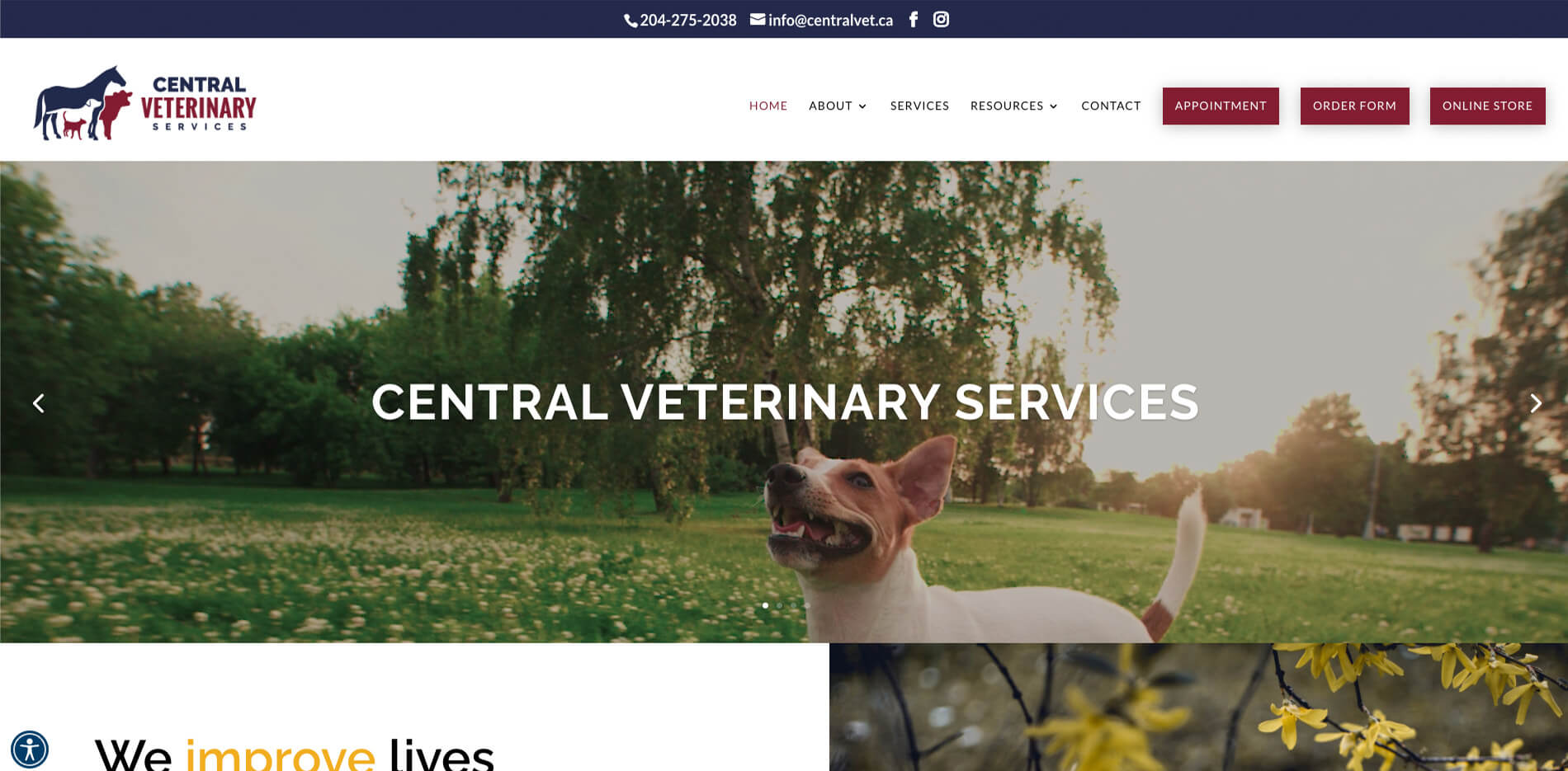 Central Veterinary Services homepage