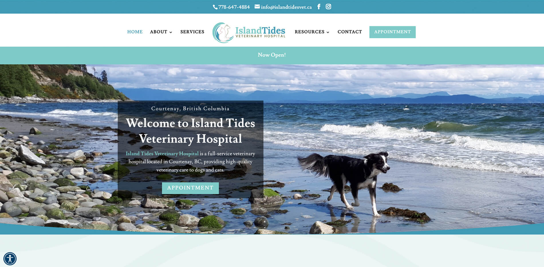 Island Tides Veterinary Hospital homepage