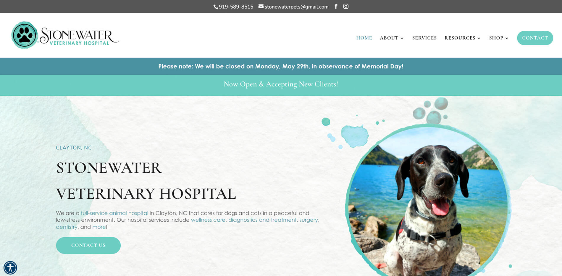 Stonewater Veterinary Hospital homepage