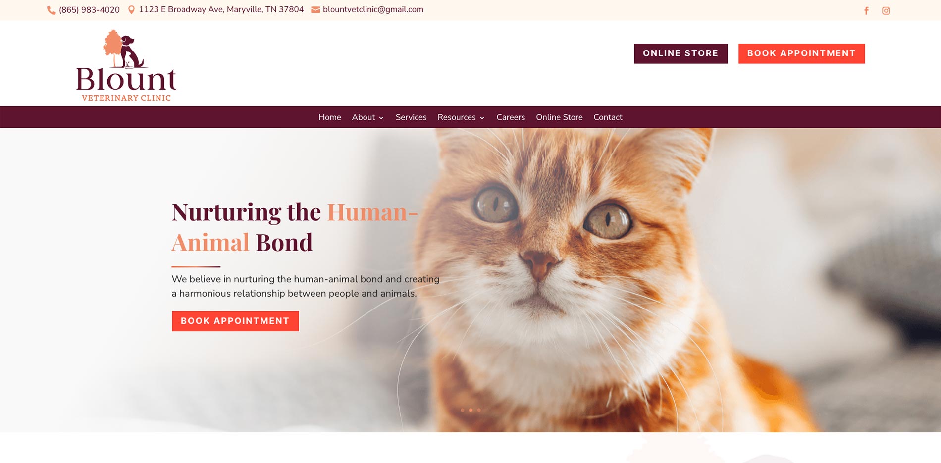 Blount Veterinary Clinic homepage