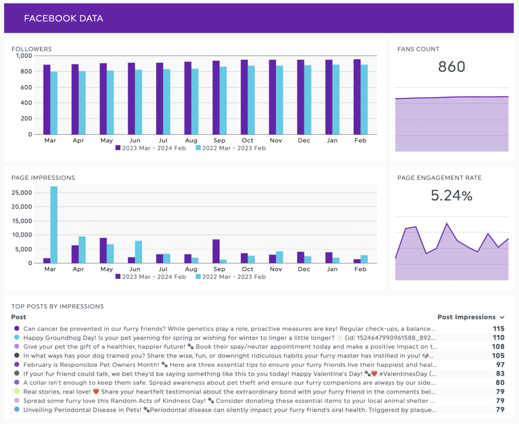 Facebook analytics dashboard view